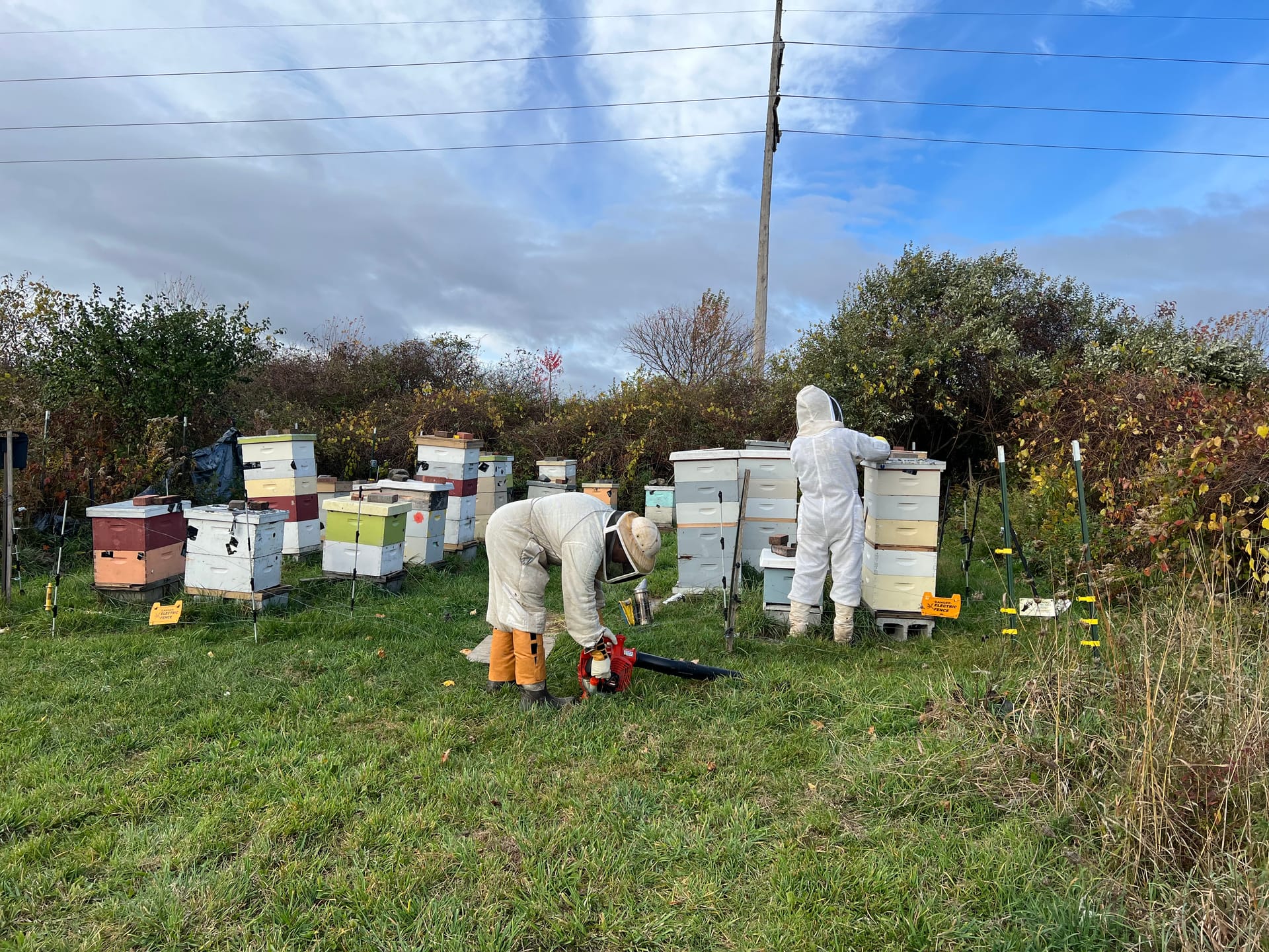 Ecovillaging